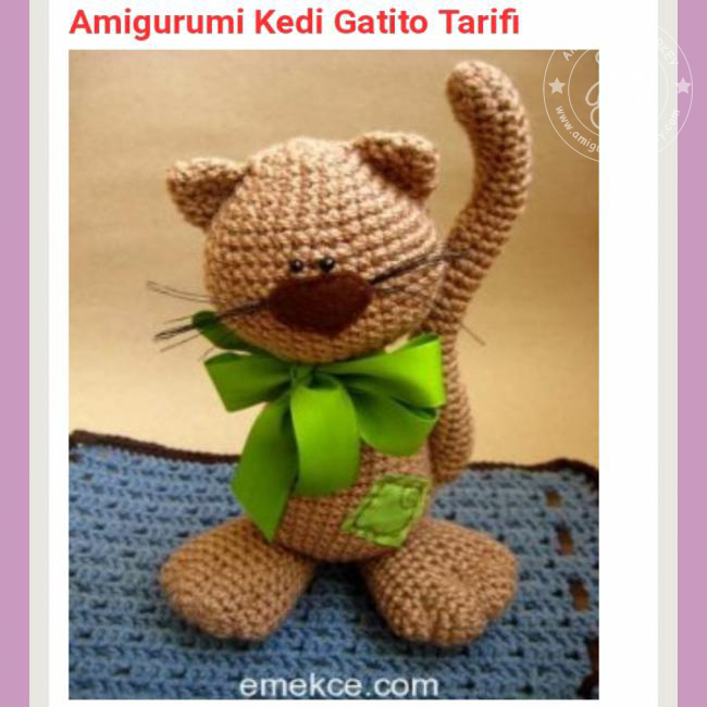 kedi Gatito
