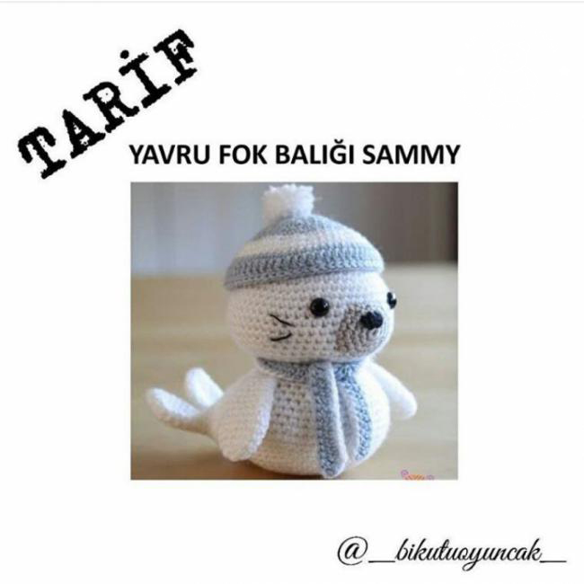 Yavru Fok BaliÄŸi Sammy