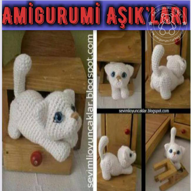 Kedi
