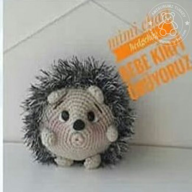 Bebek Kipri