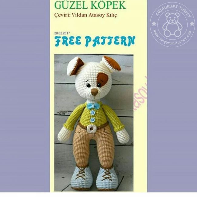 GÃ¼zel KÃ¶pek