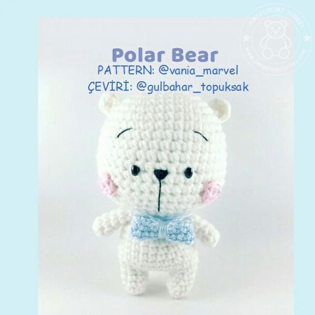 Polar Bear (ayÄ±)