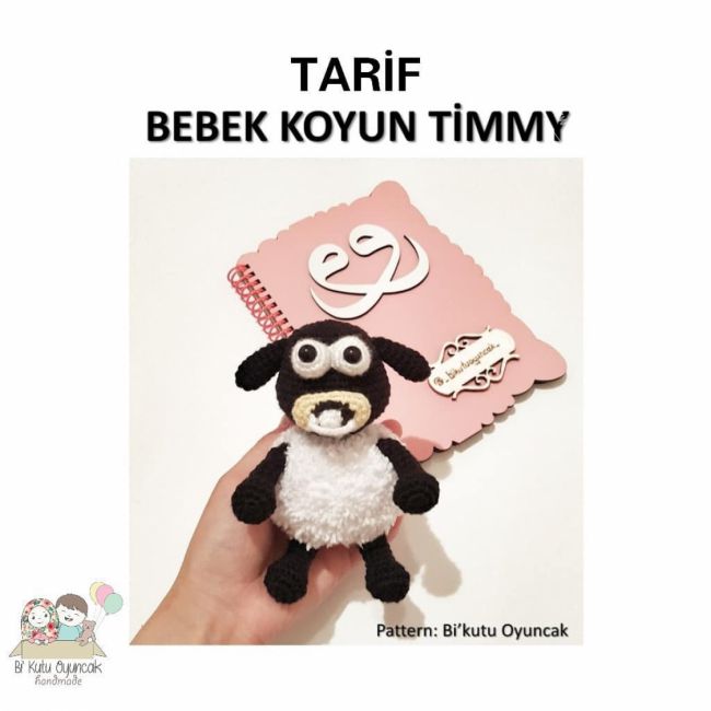 Bebek Koyun Timmy