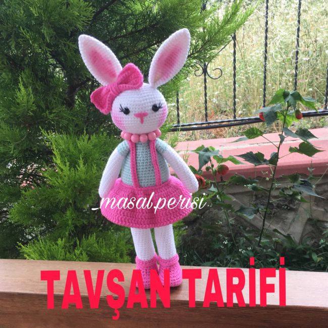 TavÅŸan