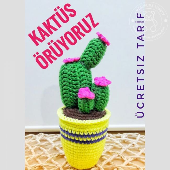 KaktÃ¼s