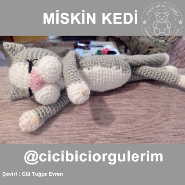 Miskin Kedi