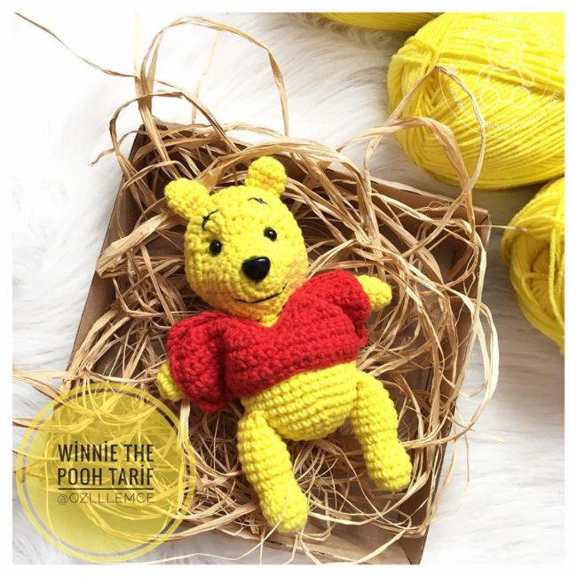 Winnie The Pooh (AyÄ±)